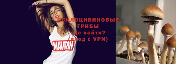 а пвп мука Алексеевка