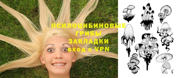 а пвп мука Алексеевка