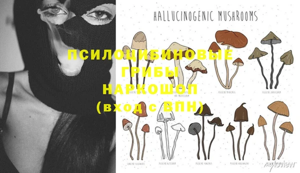 таблы Алексин