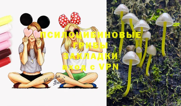 таблы Алексин