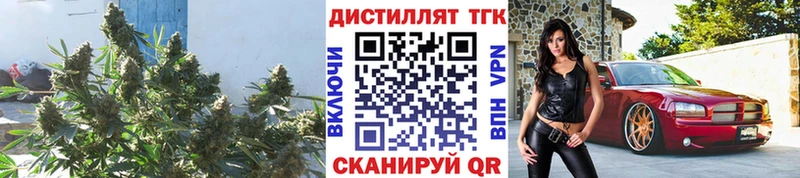 ТГК Wax Сосенский