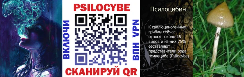 Псилоцибиновые грибы Cubensis  дарнет шоп  Сосенский 